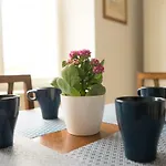 Casa Iaia Appartement Múggia